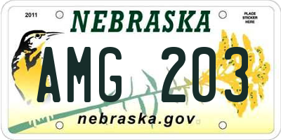 NE license plate AMG203