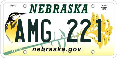NE license plate AMG221