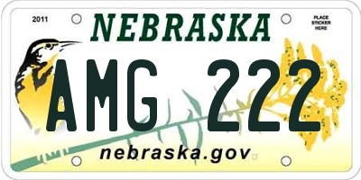 NE license plate AMG222