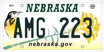 NE license plate AMG223