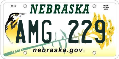 NE license plate AMG229