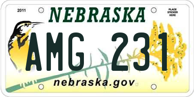 NE license plate AMG231
