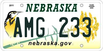 NE license plate AMG233