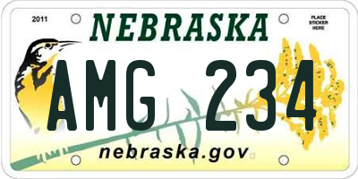 NE license plate AMG234