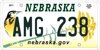 NE license plate AMG238