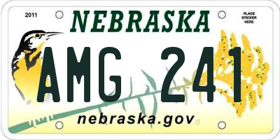 NE license plate AMG241