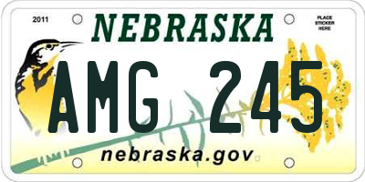 NE license plate AMG245