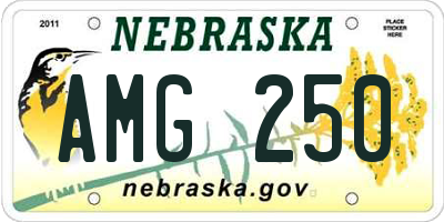 NE license plate AMG250