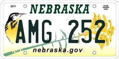 NE license plate AMG252