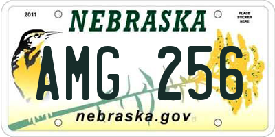NE license plate AMG256