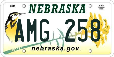NE license plate AMG258