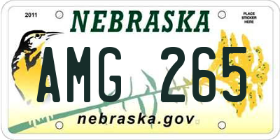 NE license plate AMG265