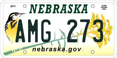 NE license plate AMG273