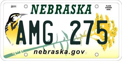 NE license plate AMG275