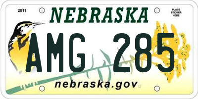 NE license plate AMG285
