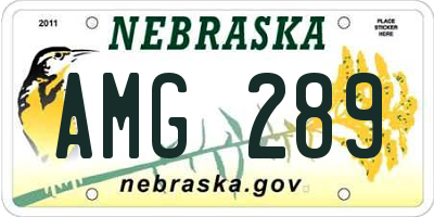 NE license plate AMG289