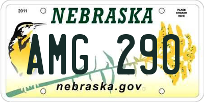 NE license plate AMG290