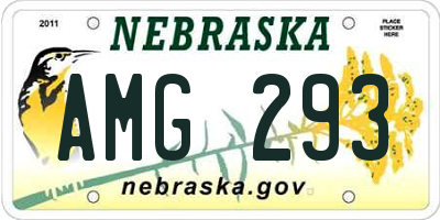 NE license plate AMG293