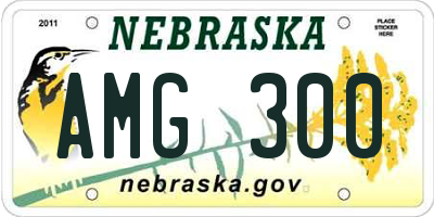 NE license plate AMG300