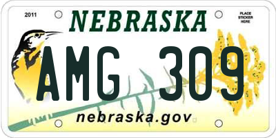 NE license plate AMG309