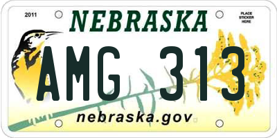 NE license plate AMG313