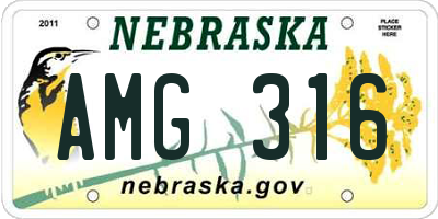 NE license plate AMG316