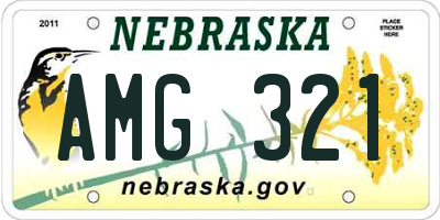 NE license plate AMG321