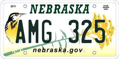 NE license plate AMG325