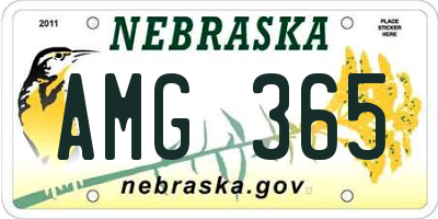 NE license plate AMG365