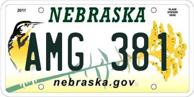 NE license plate AMG381