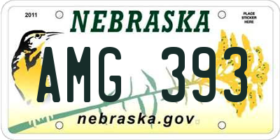 NE license plate AMG393