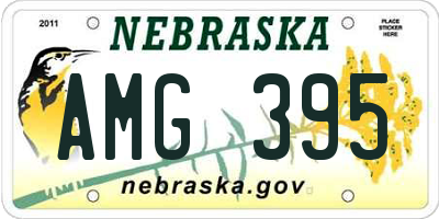 NE license plate AMG395