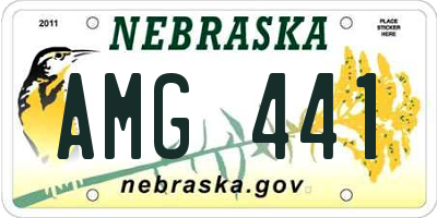 NE license plate AMG441