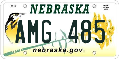 NE license plate AMG485