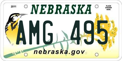 NE license plate AMG495