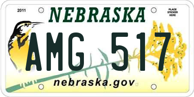 NE license plate AMG517