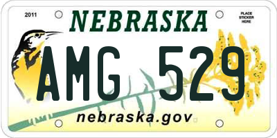NE license plate AMG529