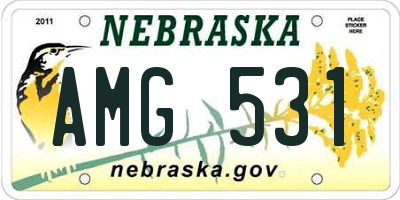 NE license plate AMG531
