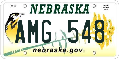 NE license plate AMG548