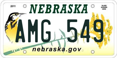 NE license plate AMG549