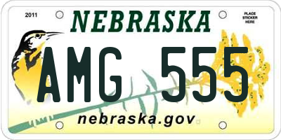 NE license plate AMG555