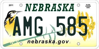 NE license plate AMG585