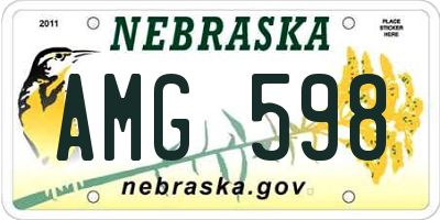 NE license plate AMG598