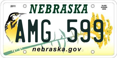 NE license plate AMG599