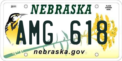 NE license plate AMG618