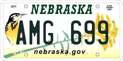 NE license plate AMG699