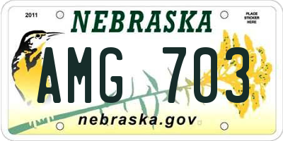 NE license plate AMG703