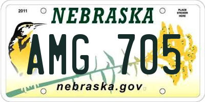NE license plate AMG705