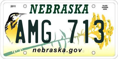NE license plate AMG713