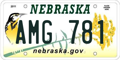 NE license plate AMG781